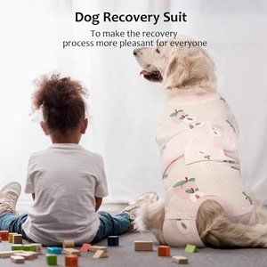 Kuoser Recovery Suit for Dogs After Surgery / Spay